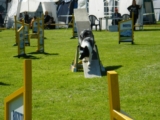 Fantom
IMCA selectie 30 mei 2009
